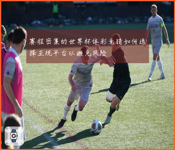 赛程密集的世界杯体彩竞猜如何选择正规平台以避免风险