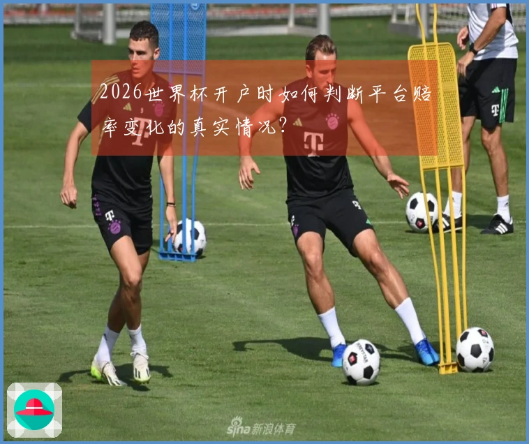 2026世界杯开户时如何判断平台赔率变化的真实情况？