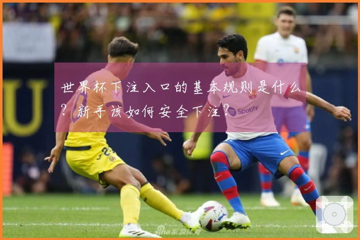 世界杯下注入口的基本规则是什么？新手该如何安全下注？