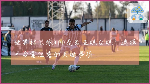 世界杯买球app是否正规合规？选择平台需注意的关键事项