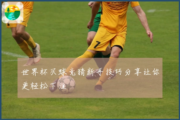 世界杯买球竞猜新手技巧分享让你更轻松下注