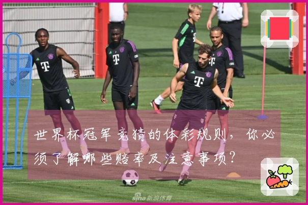 世界杯冠军竞猜的体彩规则，你必须了解哪些赔率及注意事项？