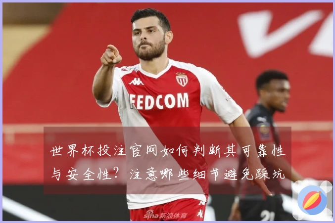 世界杯投注官网如何判断其可靠性与安全性？注意哪些细节避免踩坑？