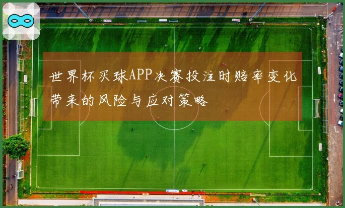 世界杯买球APP决赛投注时赔率变化带来的风险与应对策略