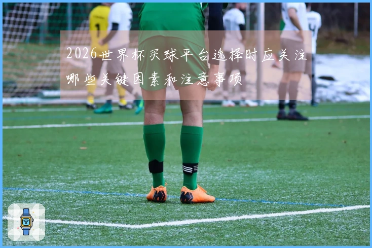 2026世界杯买球平台选择时应关注哪些关键因素和注意事项