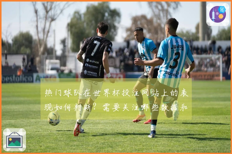热门球队在世界杯投注网站上的表现如何判断？需要关注哪些数据和因素？