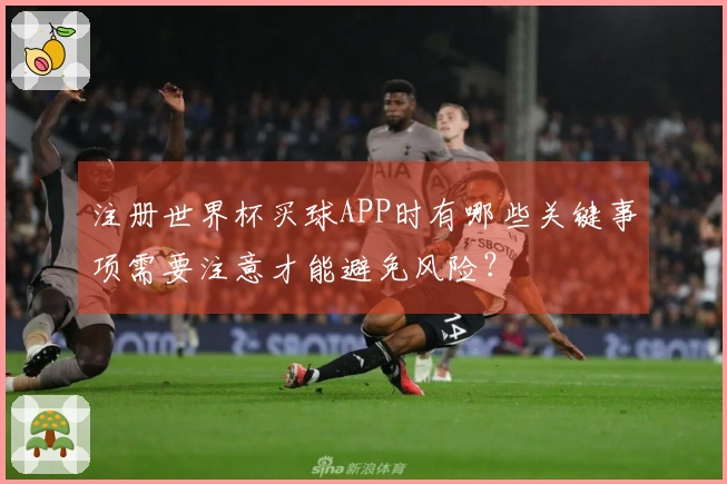 注册世界杯买球APP时有哪些关键事项需要注意才能避免风险？
