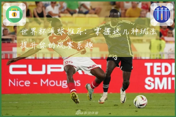 世界杯滚球推荐：掌握这几种玩法提升你的观赛乐趣