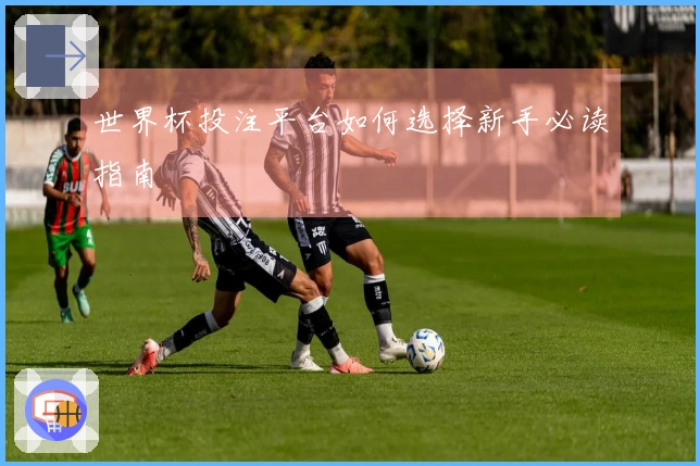世界杯投注平台如何选择新手必读指南