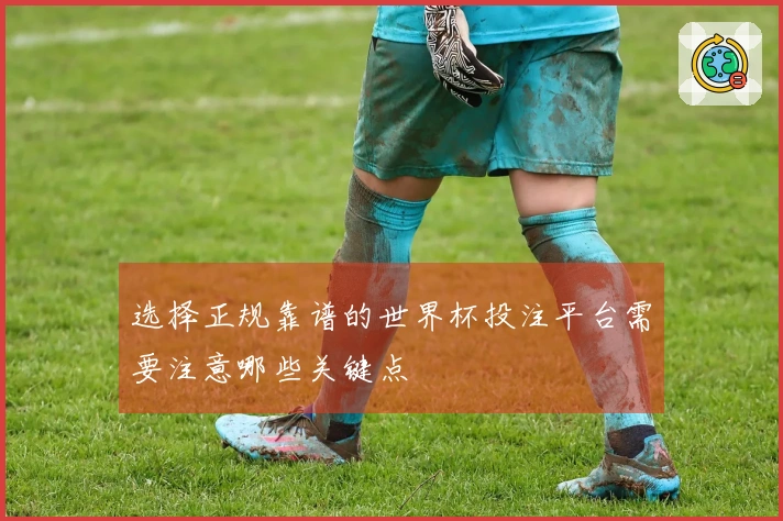 选择正规靠谱的世界杯投注平台需要注意哪些关键点