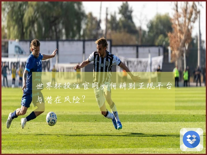 世界杯投注官网如何辨别正规平台与潜在风险？