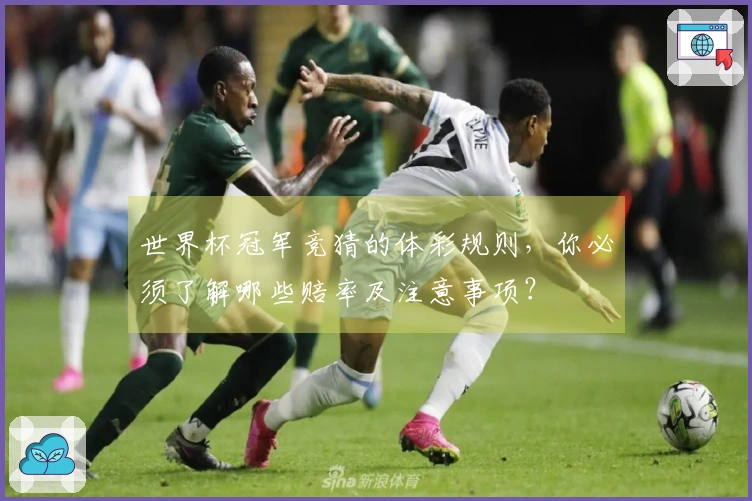 世界杯冠军竞猜的体彩规则，你必须了解哪些赔率及注意事项？