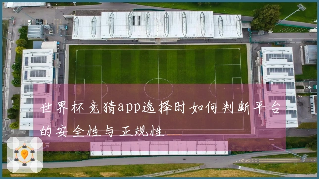 世界杯竞猜app选择时如何判断平台的安全性与正规性