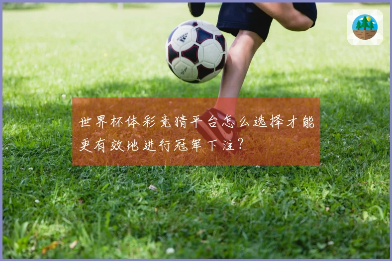 世界杯体彩竞猜平台怎么选择才能更有效地进行冠军下注？