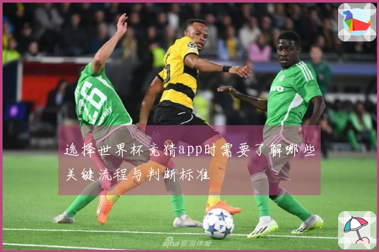 选择世界杯竞猜app时需要了解哪些关键流程与判断标准
