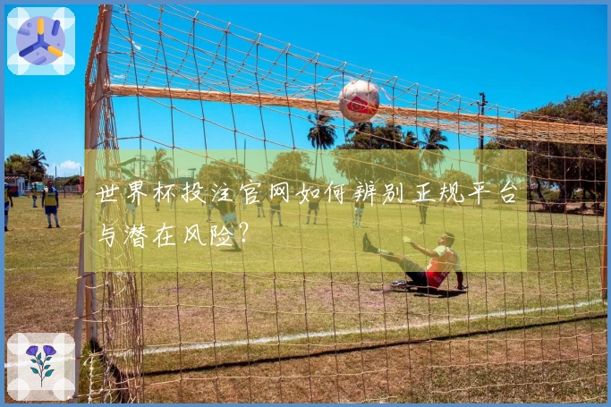世界杯投注官网如何辨别正规平台与潜在风险？
