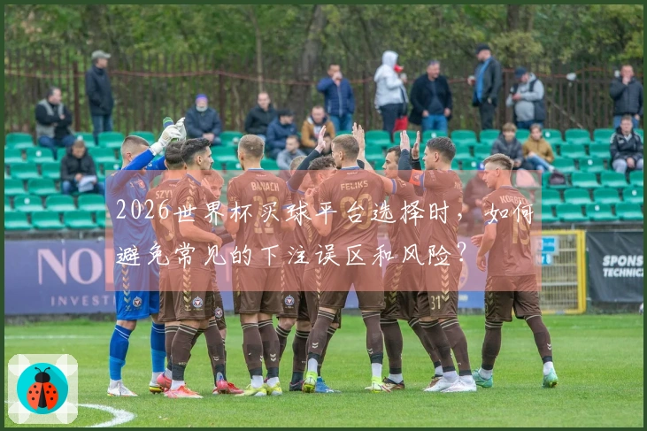 2026世界杯买球平台选择时，如何避免常见的下注误区和风险？