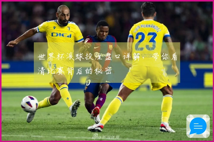 世界杯滚球投注盘口详解，带你看清比赛背后的秘密