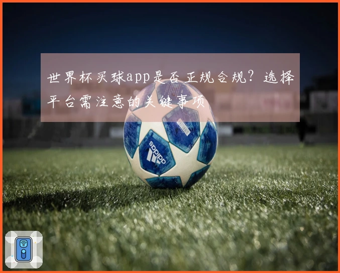 世界杯买球app是否正规合规？选择平台需注意的关键事项