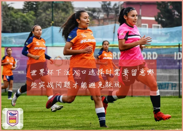 世界杯下注入口选择时需要留意哪些实战问题才能避免踩坑