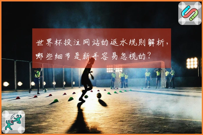 世界杯投注网站的返水规则解析，哪些细节是新手容易忽视的？