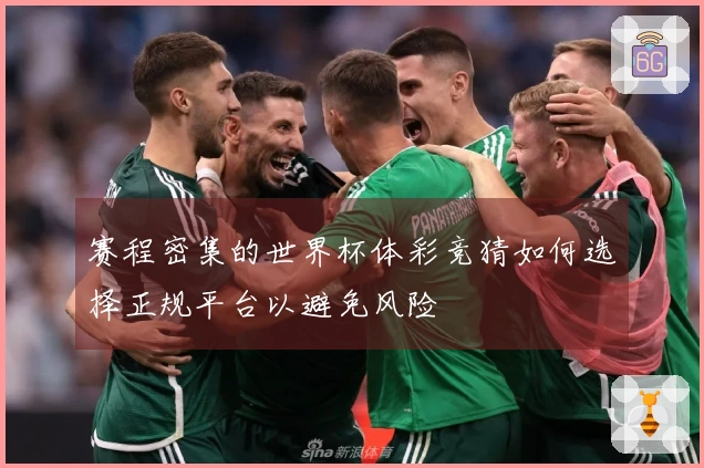 赛程密集的世界杯体彩竞猜如何选择正规平台以避免风险