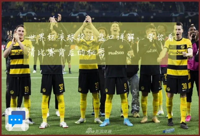 世界杯滚球投注盘口详解，带你看清比赛背后的秘密
