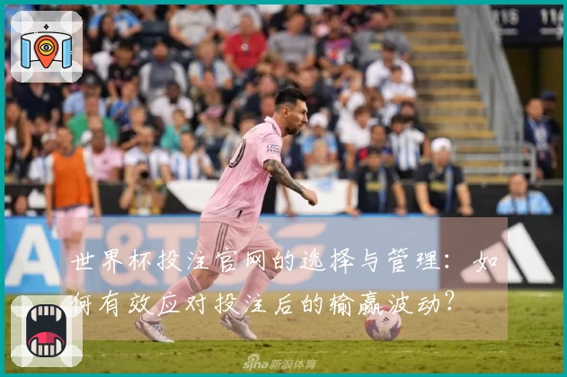 世界杯投注官网的选择与管理：如何有效应对投注后的输赢波动？