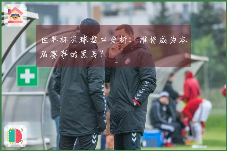 世界杯买球盘口分析：谁将成为本届赛事的黑马？