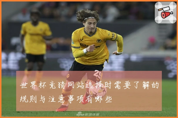 世界杯竞猜网站选择时需要了解的规则与注意事项有哪些