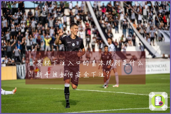 世界杯下注入口的基本规则是什么？新手该如何安全下注？