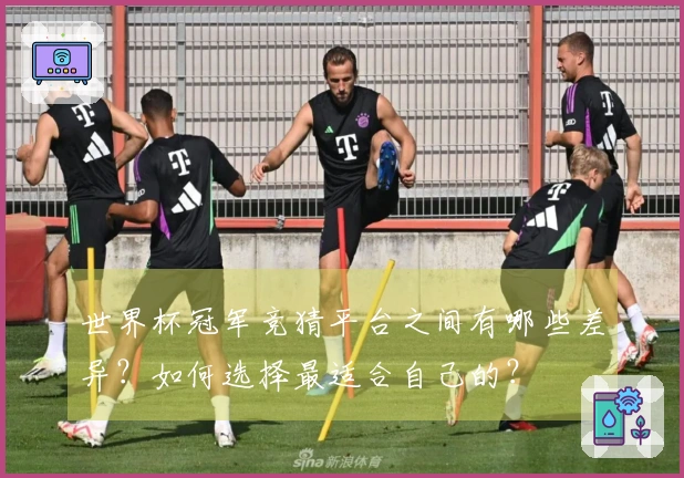 世界杯冠军竞猜平台之间有哪些差异？如何选择最适合自己的？
