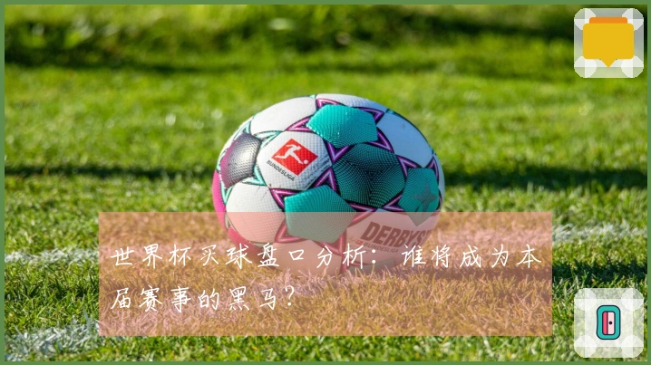 世界杯买球盘口分析：谁将成为本届赛事的黑马？