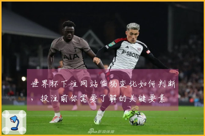 世界杯下注网站临场变化如何判断，投注前你需要了解的关键要素