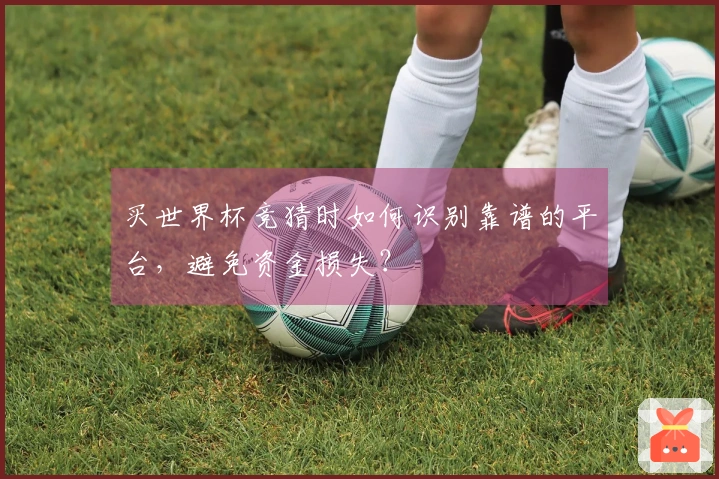 买世界杯竞猜时如何识别靠谱的平台，避免资金损失？