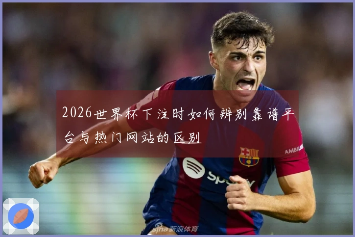 2026世界杯下注时如何辨别靠谱平台与热门网站的区别