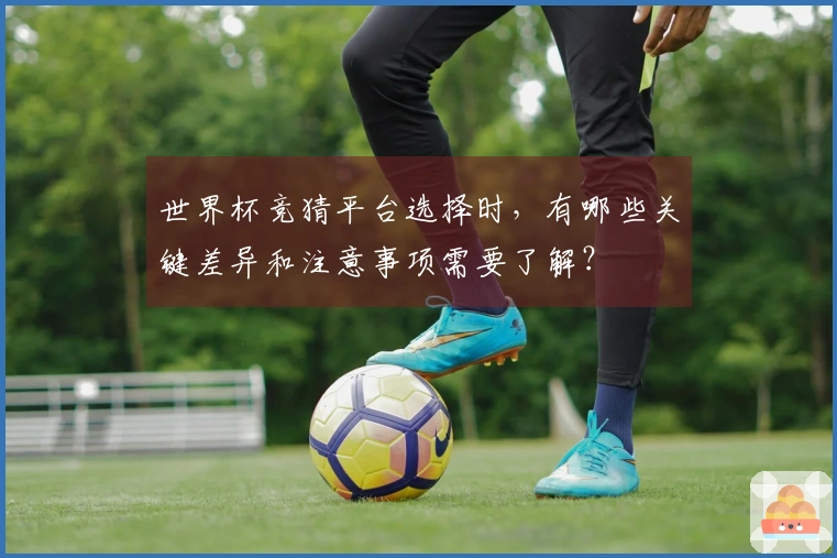 世界杯竞猜平台选择时，有哪些关键差异和注意事项需要了解？